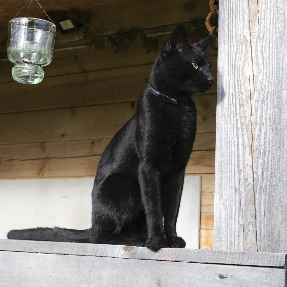 Йоль, первое лето,  июнь 2023.