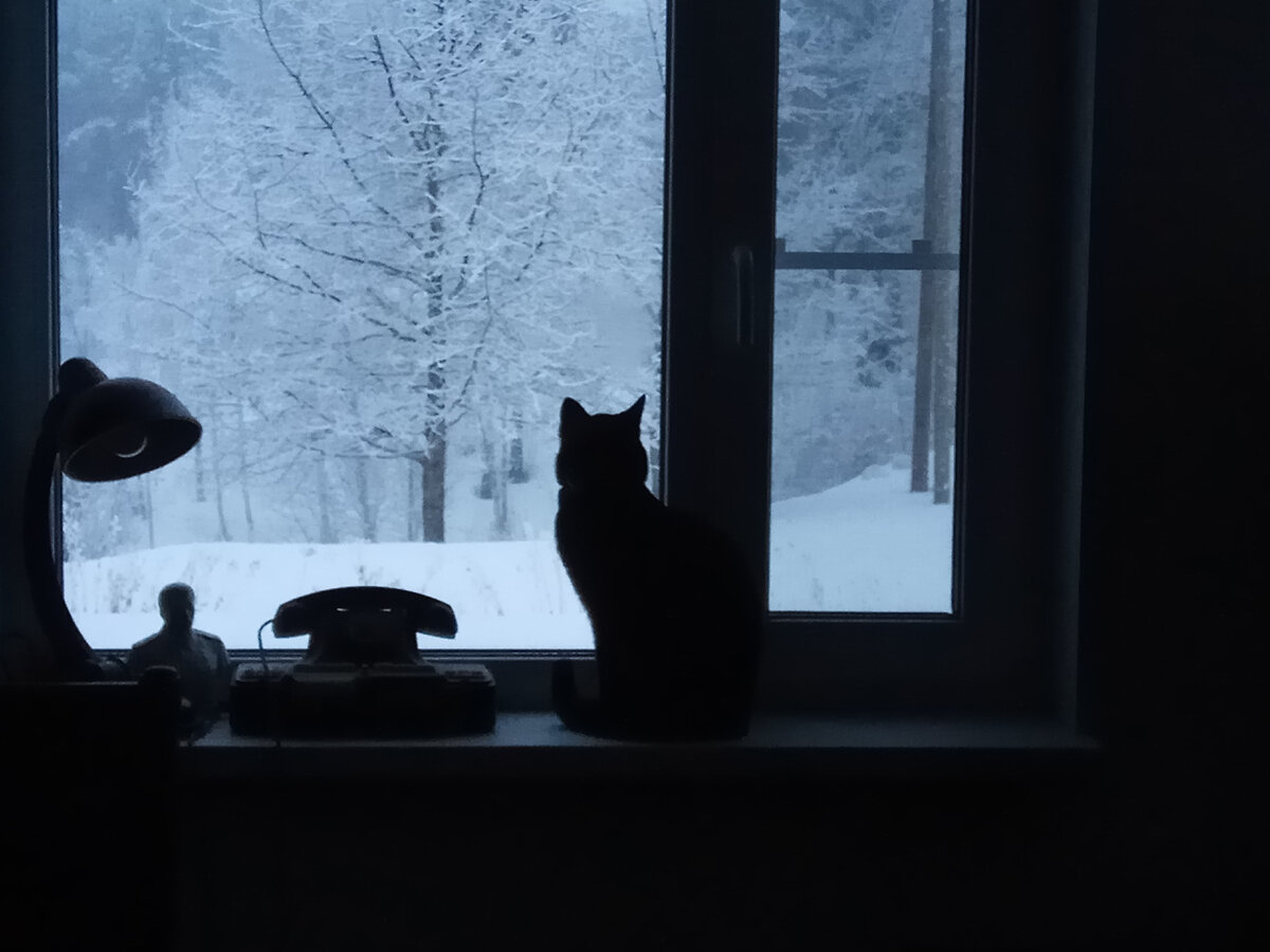 Йоль, вторая зима, 2023.