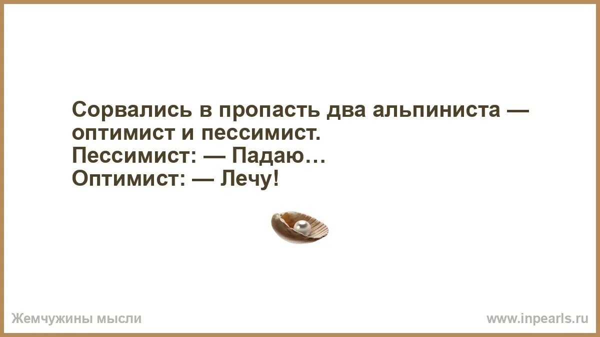 Информированный оптимист. Падают оптимист и пессимист. Оптимист пессимист падаю лечу. Анекдот про пессимиста. Пессимист это хорошо информированный оптимист чьи слова.