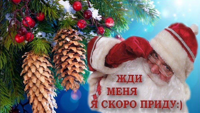 фото из интернета