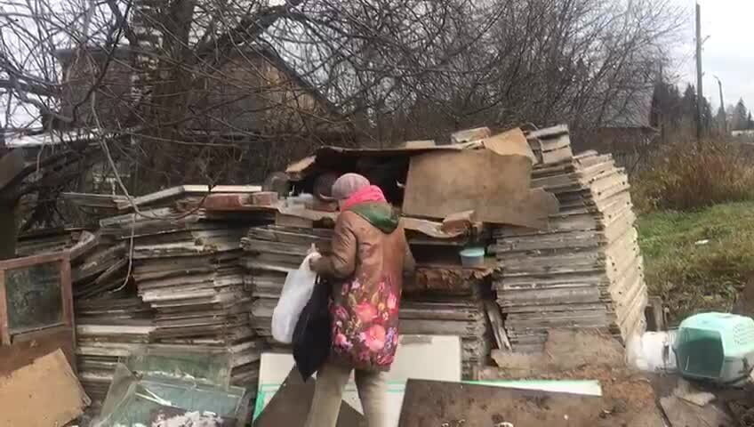 Эти грудах строительных материалов много лет живут кошки, которых подкармливают добрые люди