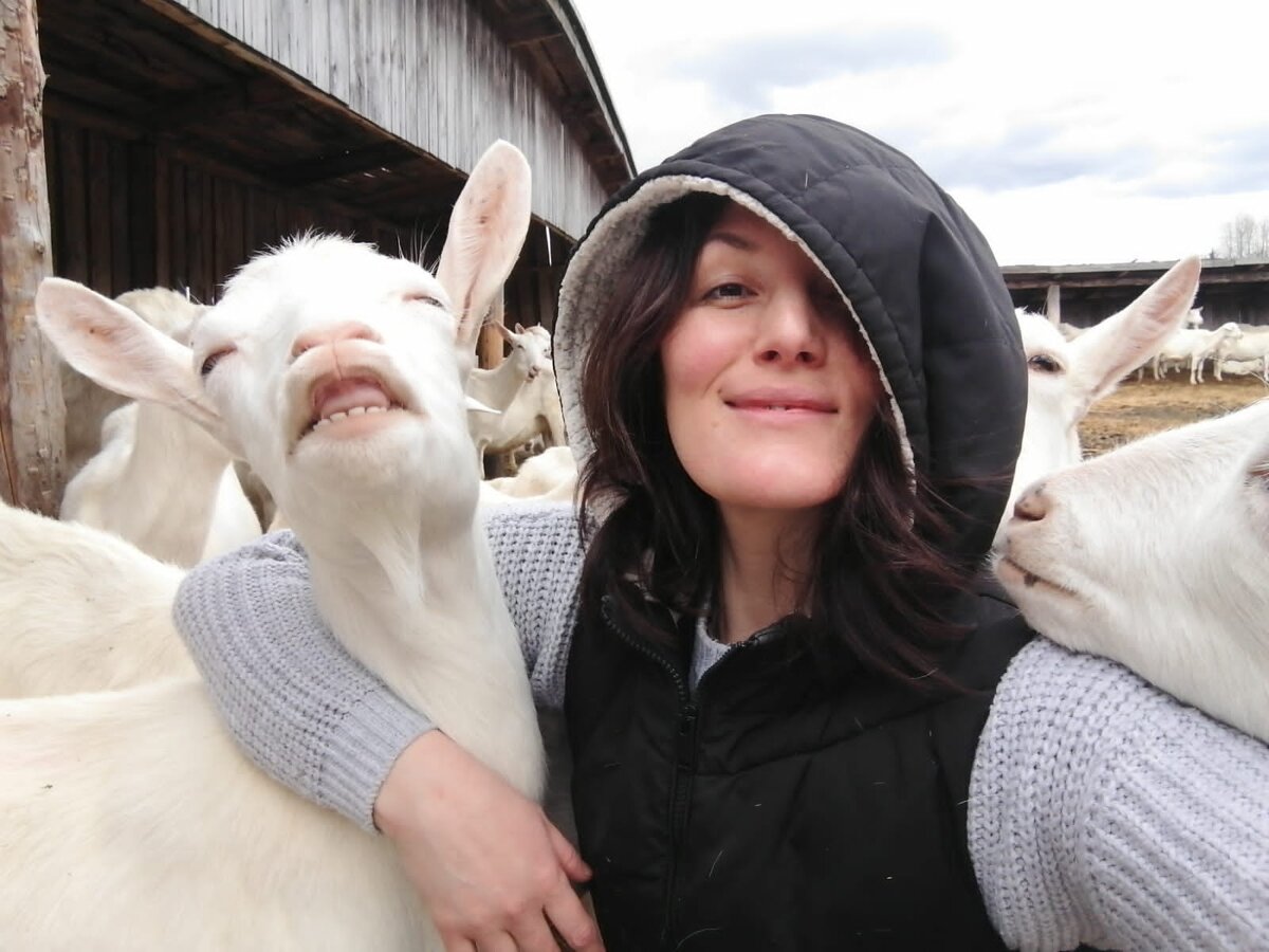 Автор канала Бодрый Козовод