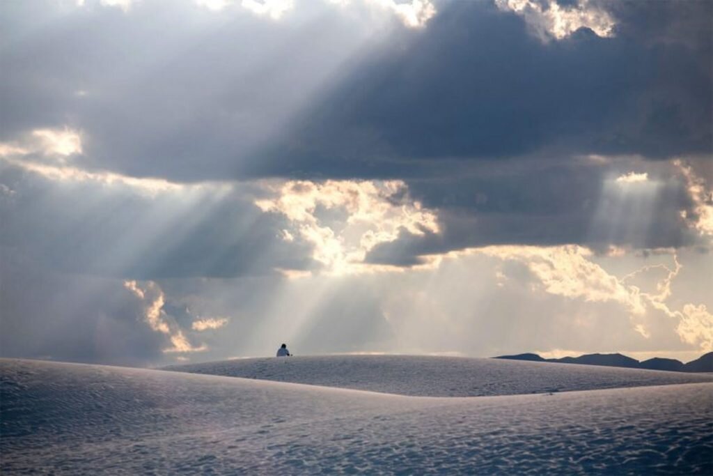     фото: Navid Baraty