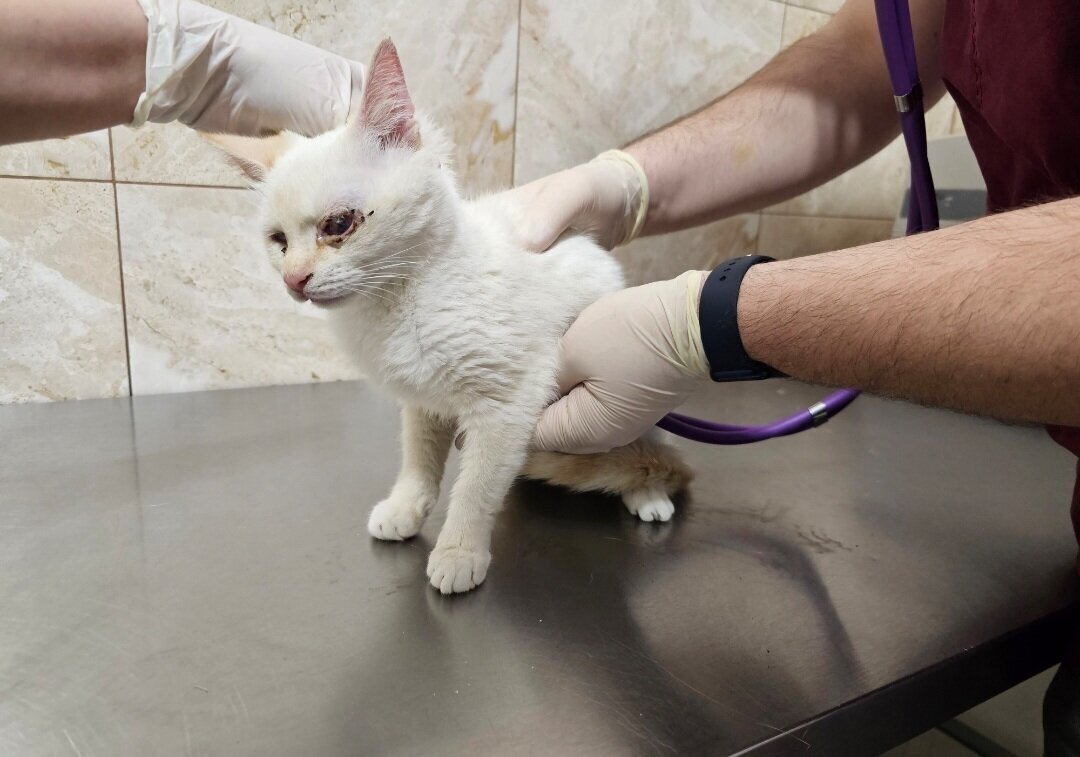 На осмотре у врача