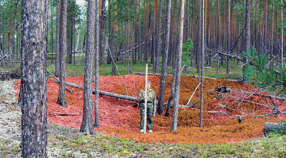   Henny Piezonka et al. / Antiquity, 2023