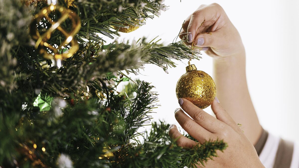 Фото: freepik.com/pressfoto