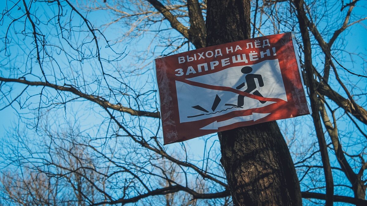     Первая медаль за «навагу» посмертно — в Приморском крае рыбак провалился под лед. Товарищи по опасному увлечению не смогли спасти мужчину — его затянуло течением. Поиски продолжаются.