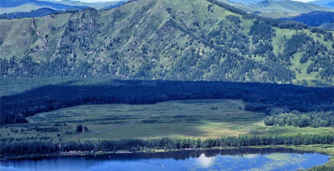    Фото: tonkosti.ru