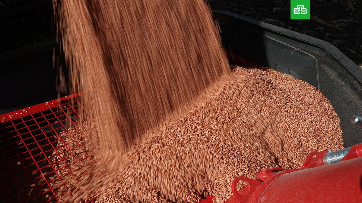    Фото: РИА Новости © 2023, Виталий Тимкив