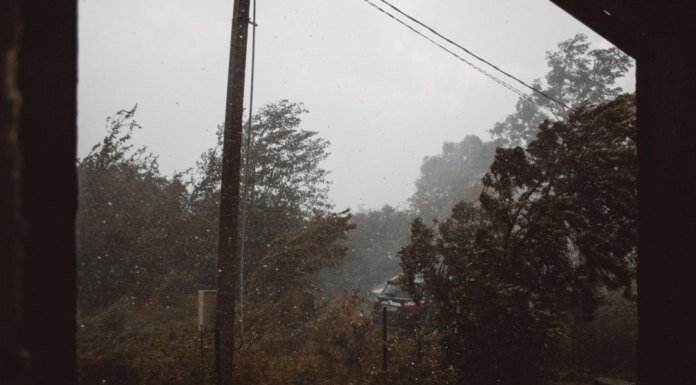 Photo by Max Titov on Unsplash