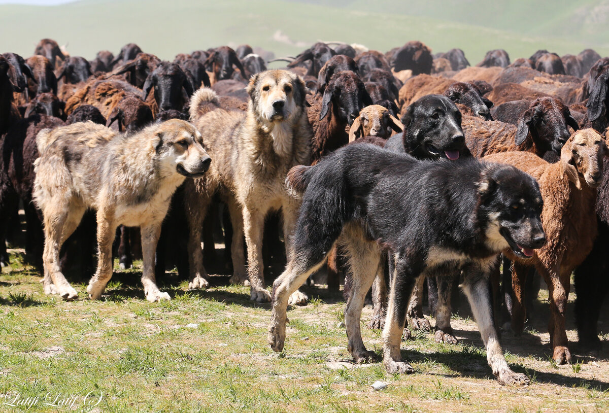 Фото для обложки, источник - на фото