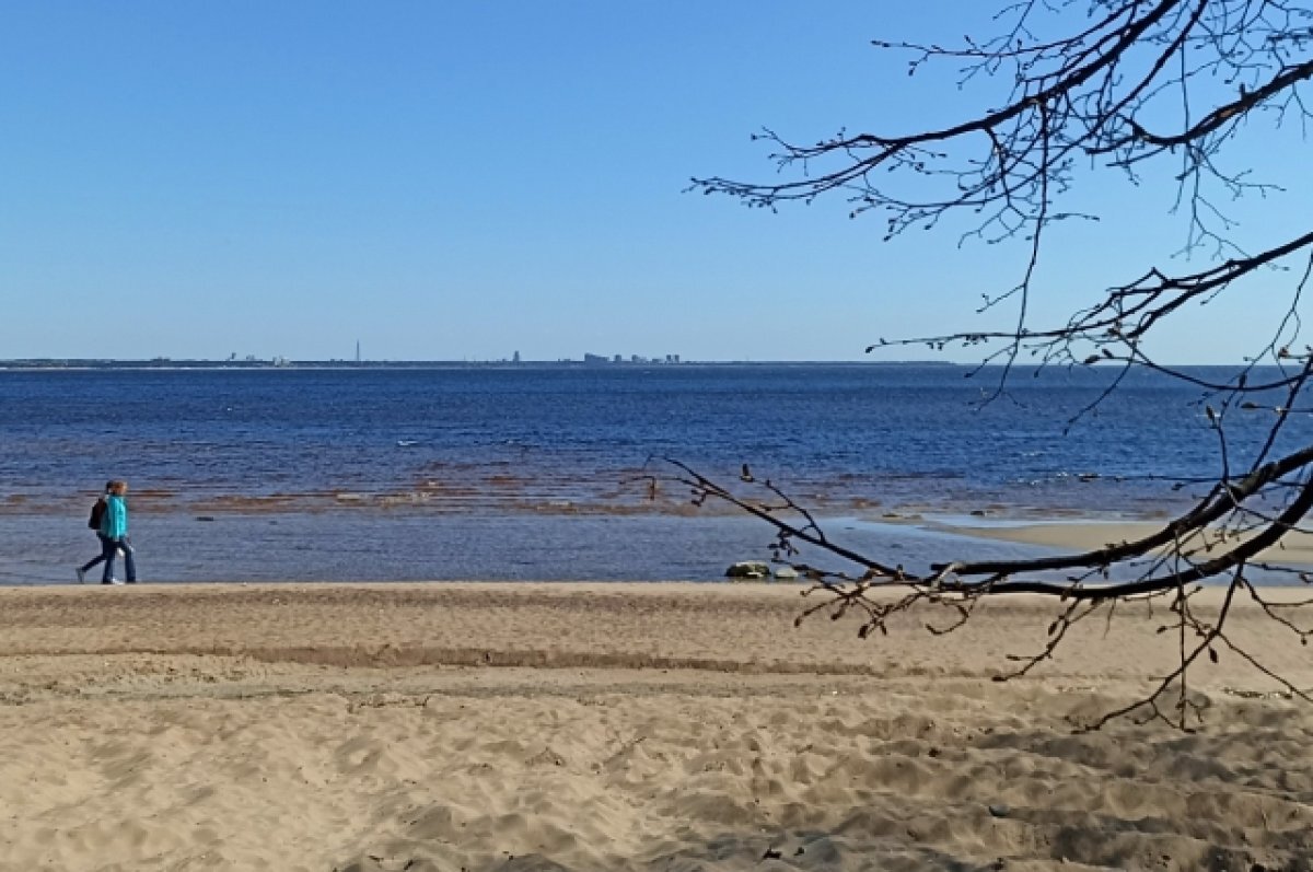    Под Керчью обнаружили останки 11 советских воинов и медаль