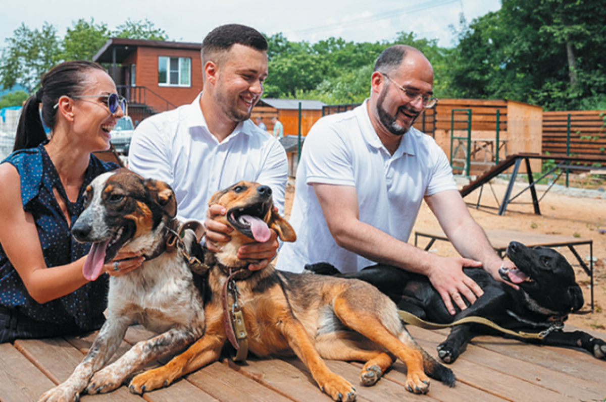    Во Владивостоке стартовал грантовый конкурс проекта «Животные города_В»