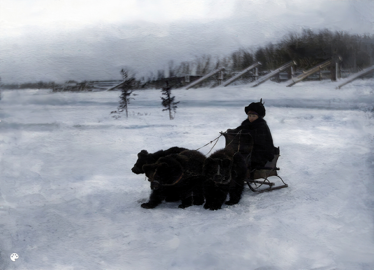 Медвежья упряжка - Архангельск в 1880-1910 годах