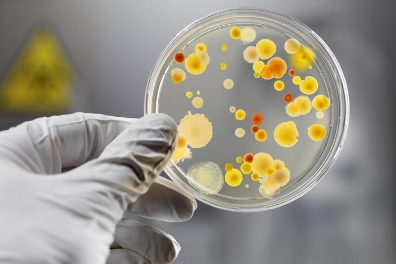 Яндекс.Картинки