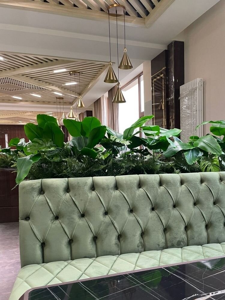 Интерьерное озеленение сейчас на пике популярности. Фото из архива Наталии Анисимовой