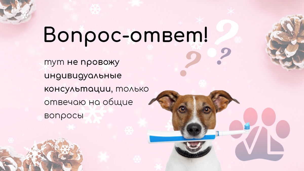 Как приучить собаку к наморднику? 🐕 Приучаем собаку носить намордник