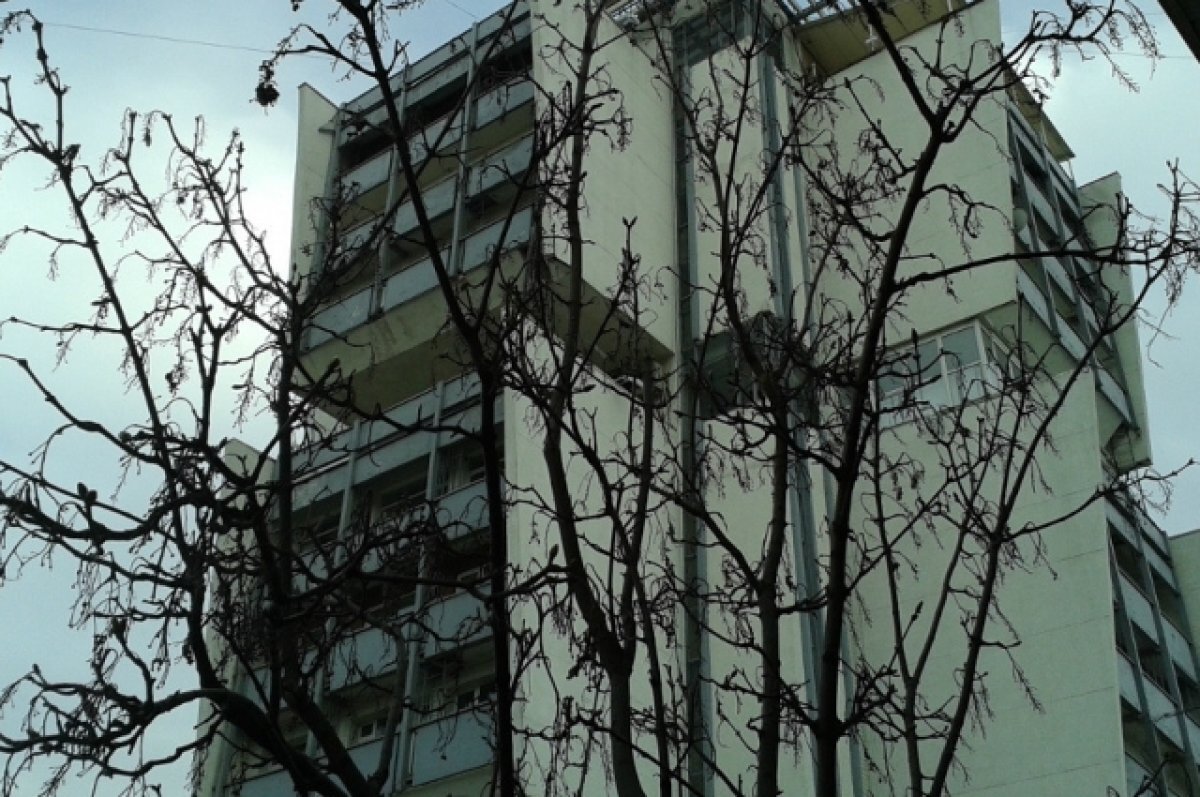    В Омске осудили «чёрных» риэлтеров, из-за которых чуть не погиб человек