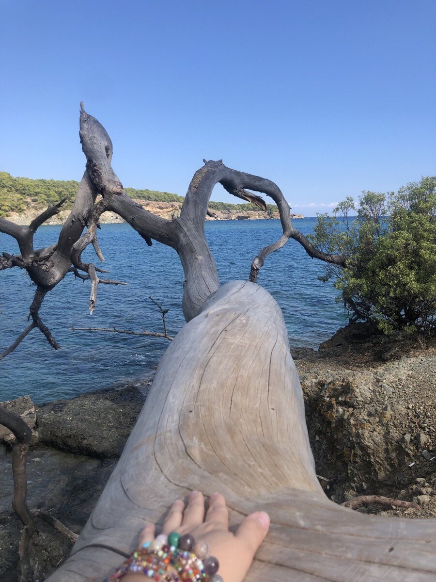 Фото из личного архива