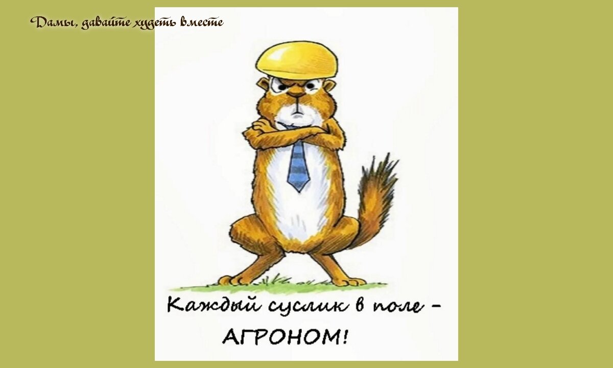 Почему неспешность полезна для твоего благополучия и успеха