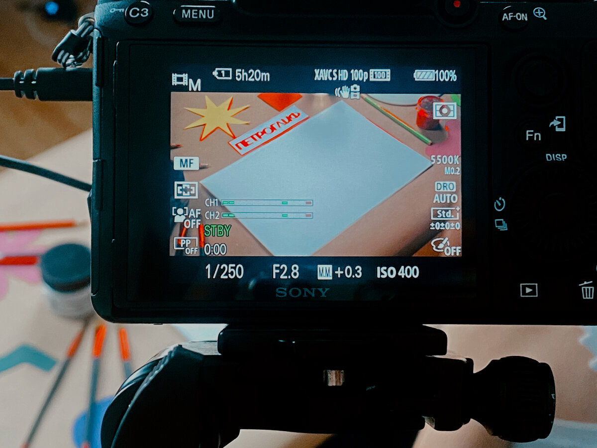 кадр со съемки курса "Внутри цвета" в олайн-школе "Петроглиф" 