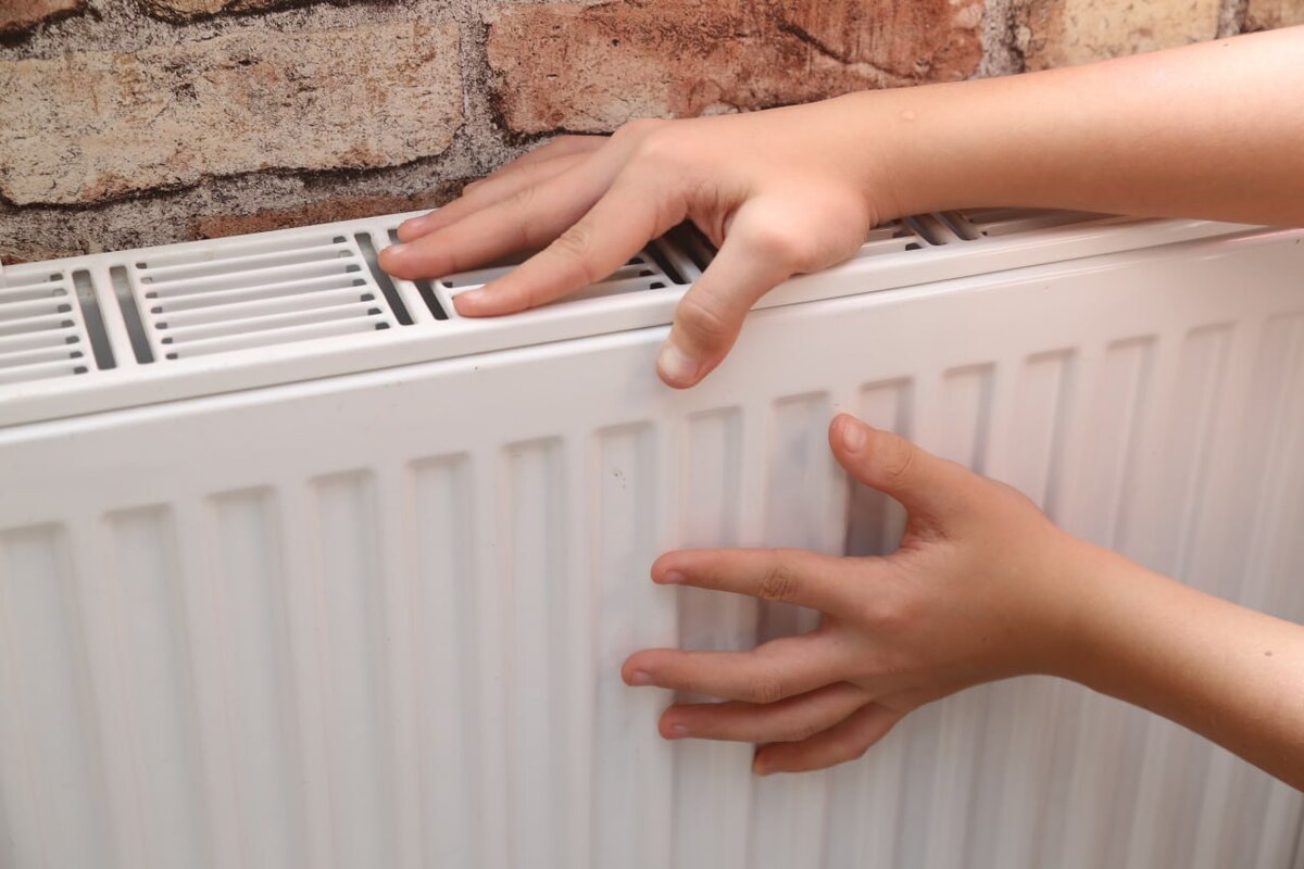 Фото: Наталья Сомова