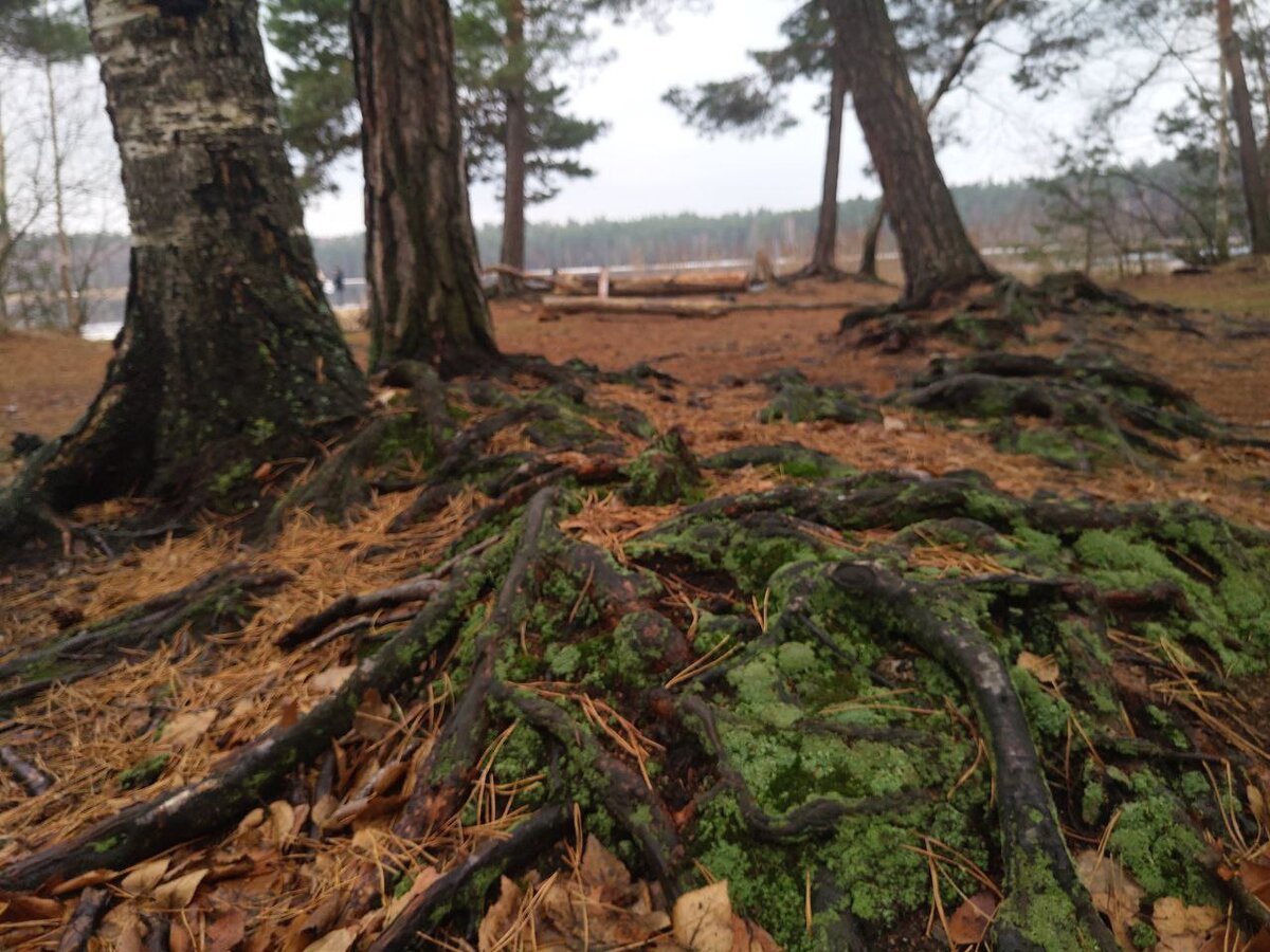 Это озеро неподалеку. Снимали два года назад