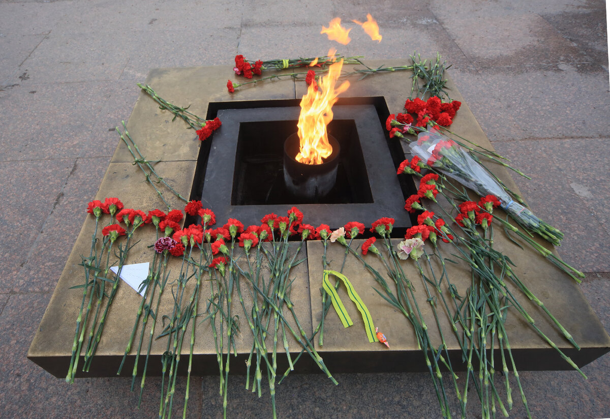 Zamir Usmanov/Global Look Press