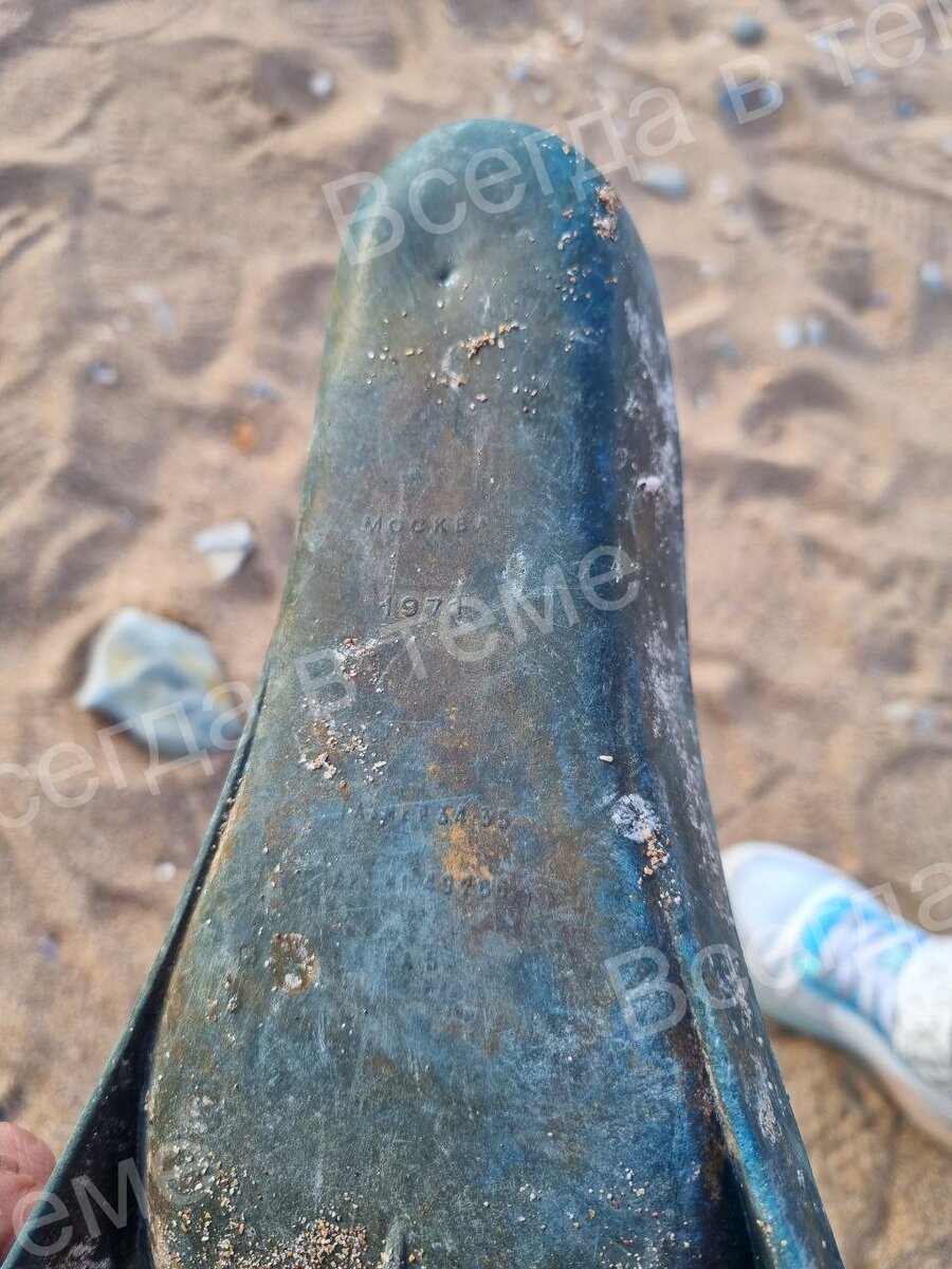 Ласты выкинуло штормом