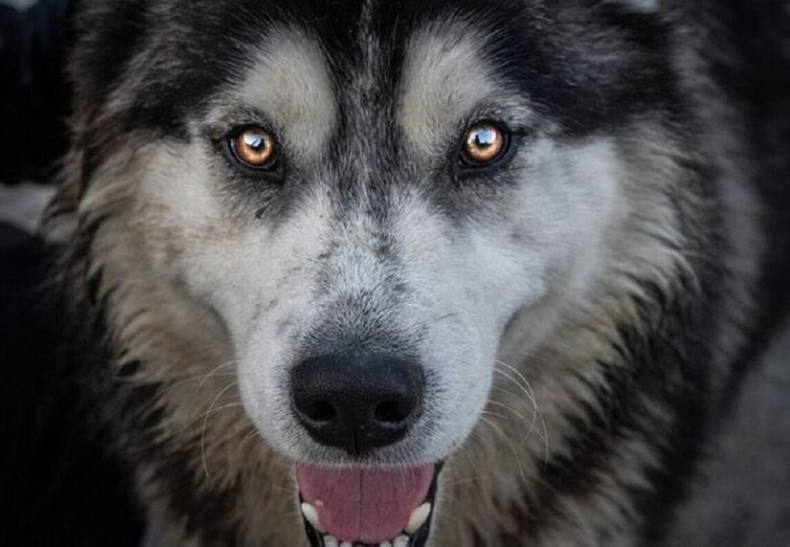 Фото: @wirestock, freepik.com. 