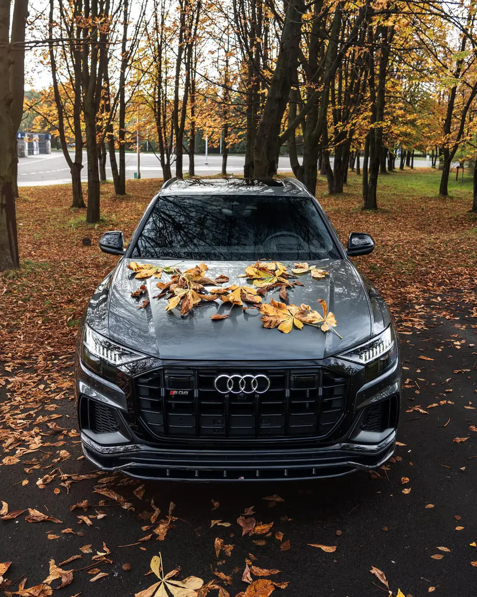 Audi SQ8 мощностью +1000 л.с.: безумный внедорожник-купе, бросающий вызов  времени | REDLINE | Дзен