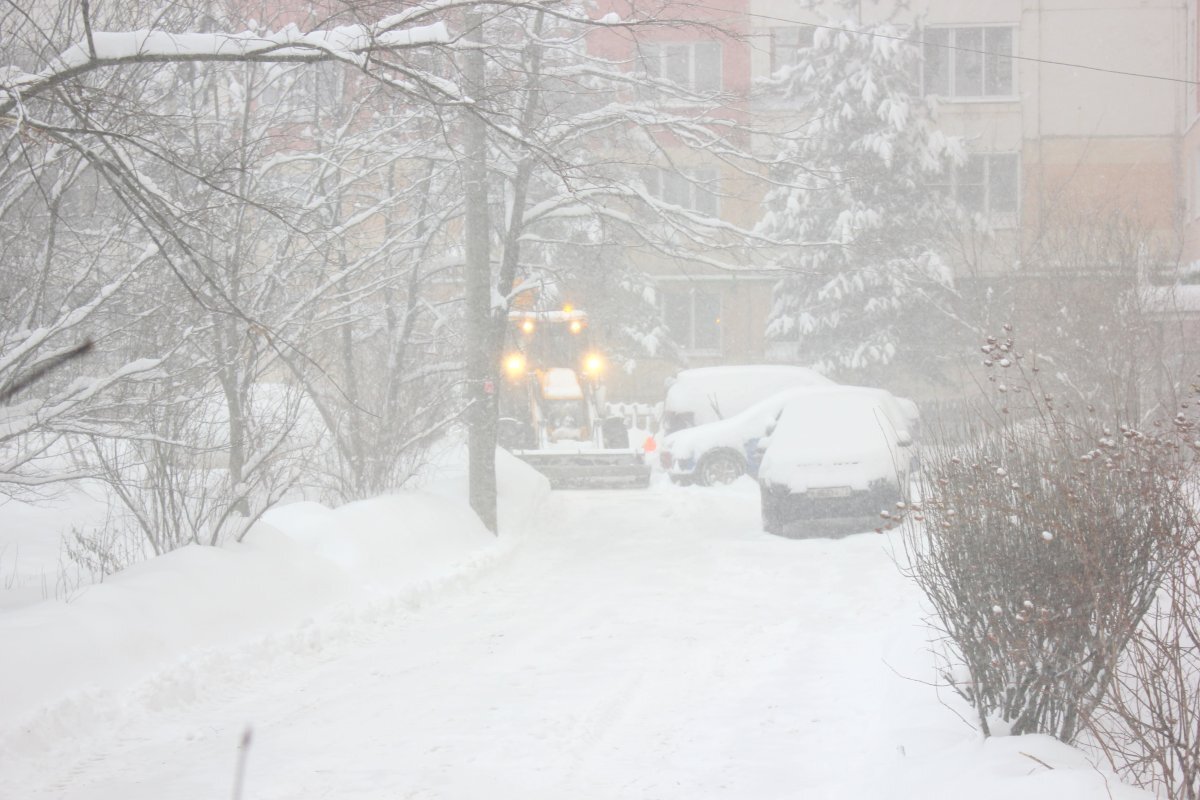    В Тульскую область придут аномальные холода