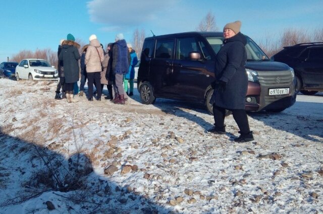    Собак грузят в рефрижератор. Фото:  АиФ/ Очевидец