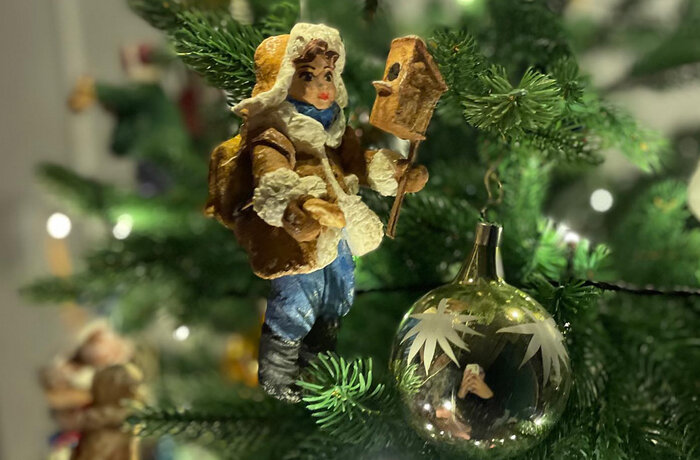 Приключения новогодней елки в России