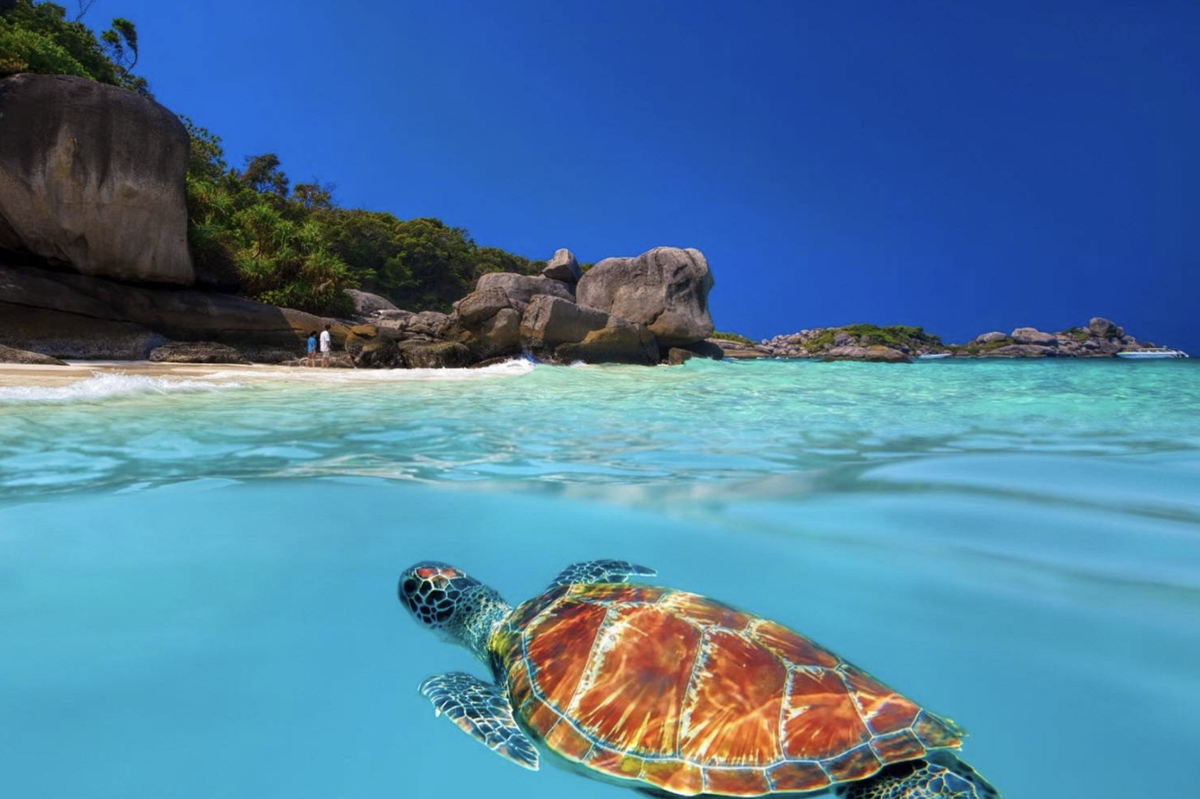 фото sputnik8.com 