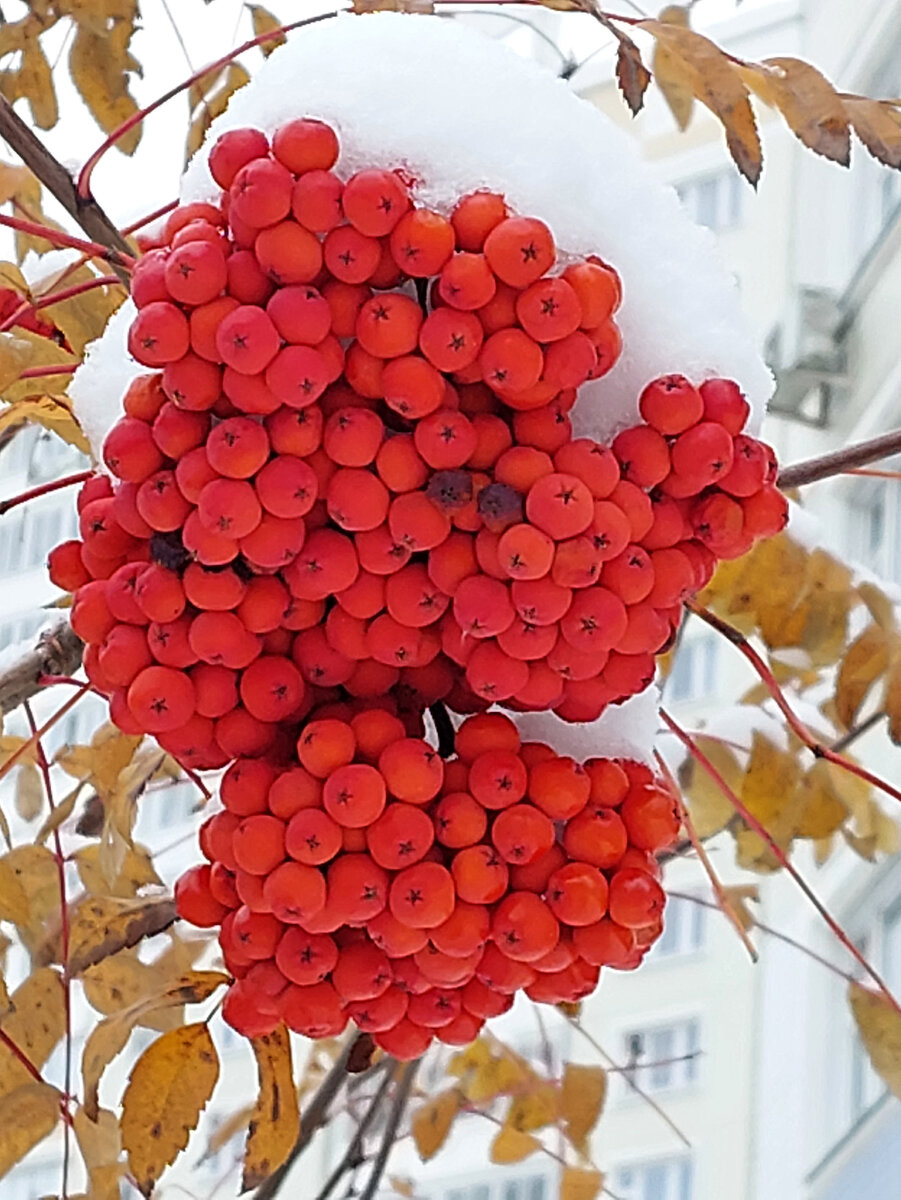 Из личного архива автора.