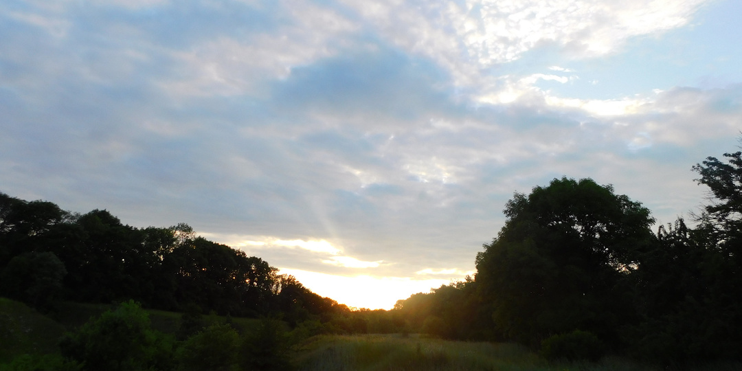 Пусть будет всё как есть (глава 5)