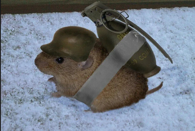 -2