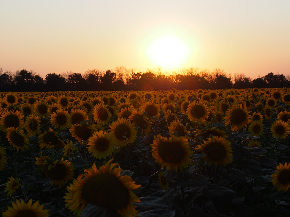 Мы были в Приэльбрусье летом, осенью и ранней весной :) 