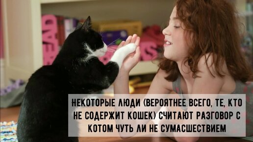 😻Разговаривайте со своей кошкой!