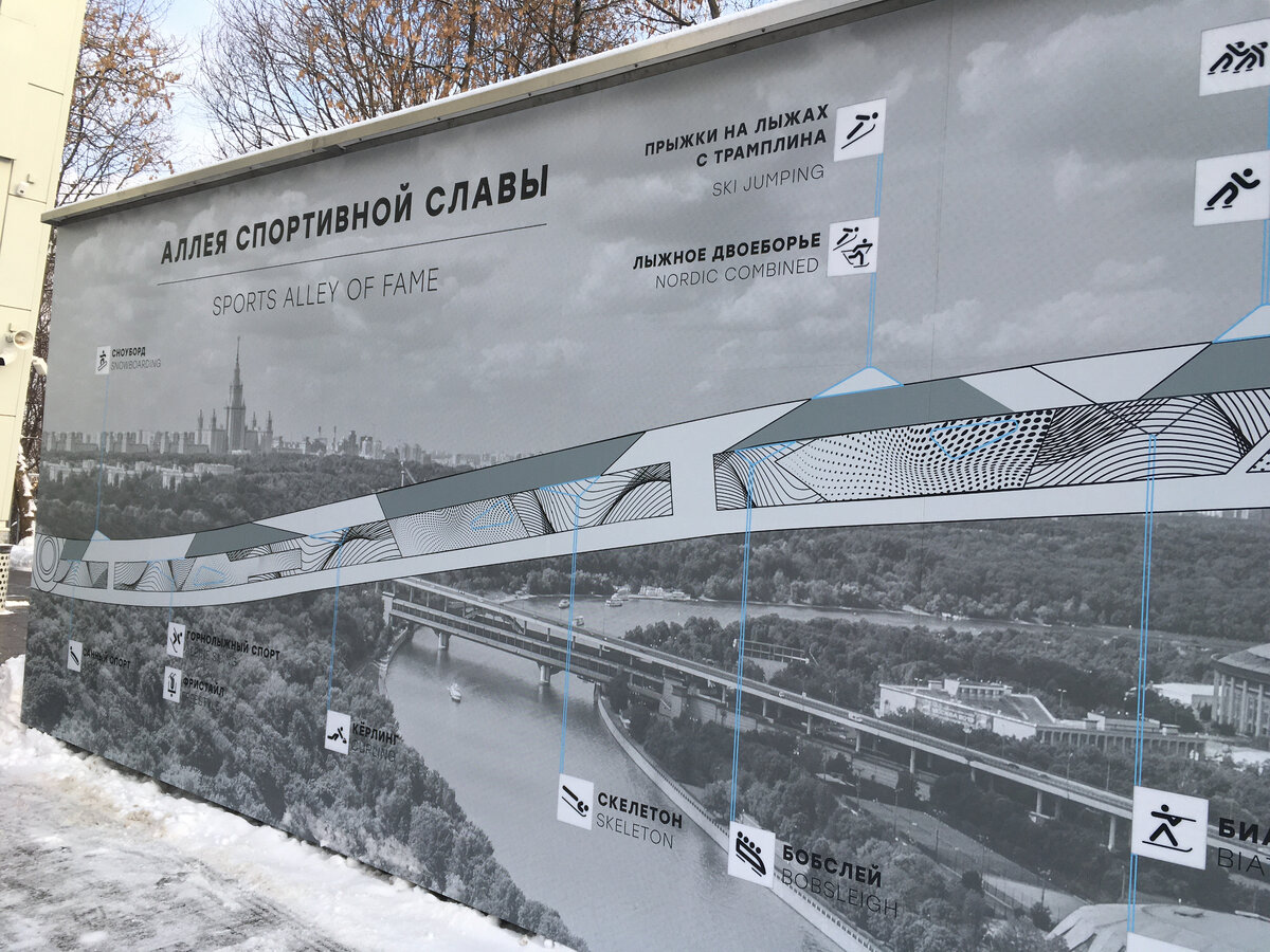 Фото сняты автором поста на Воробьевых горах в Москве в декабре 2023 г.