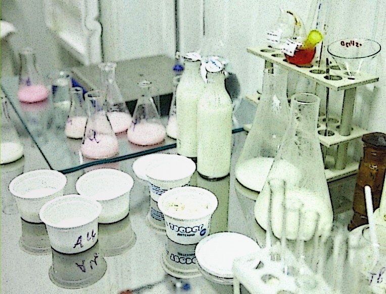 Примерно в таких посудах мы пробовали то, что готовили наши студенты в специализации "пищевая биотехнология".