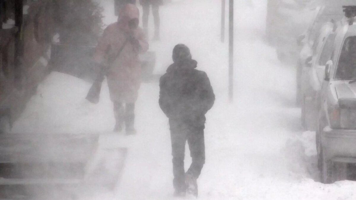     Согласно прогнозу Обь-Иртышского УГМС, самые сильные морозы ожидают жителей региона в период с 7 по 10 декабря.