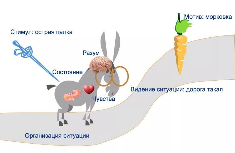 Можно увидеть разницу