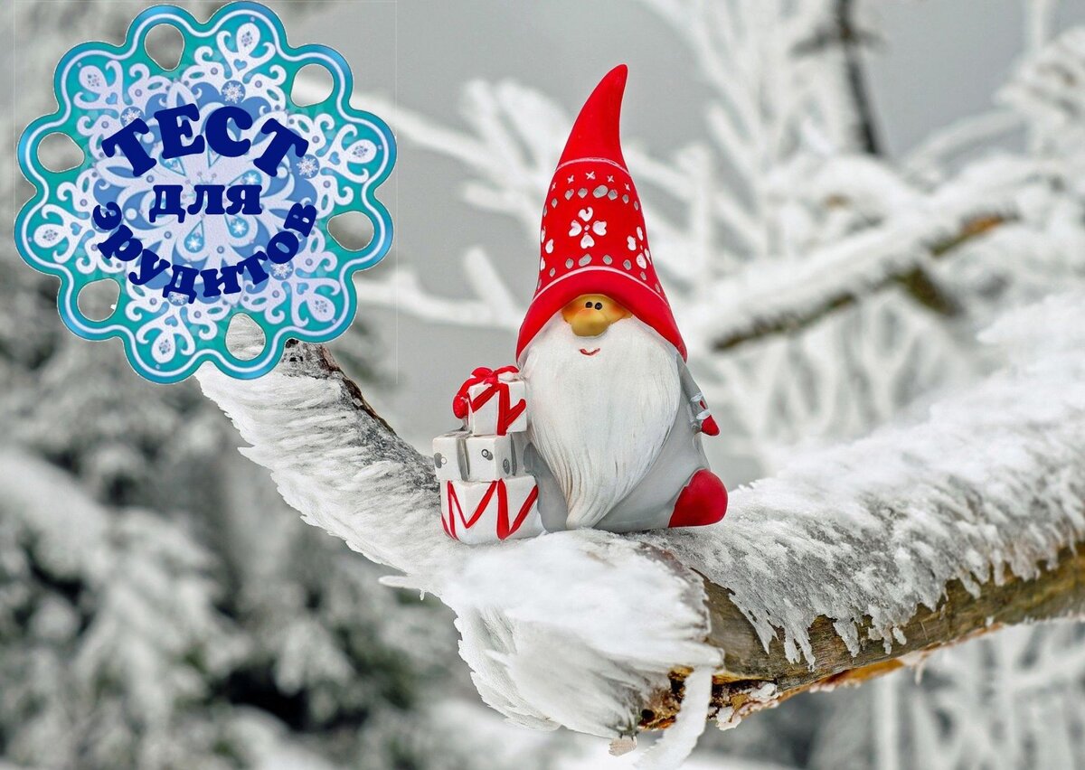 Источник изображения: pixabay.com, дизайн автора публикации