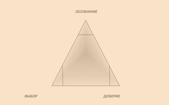 Доверие. Осознание. Выбор. Картинка из книги