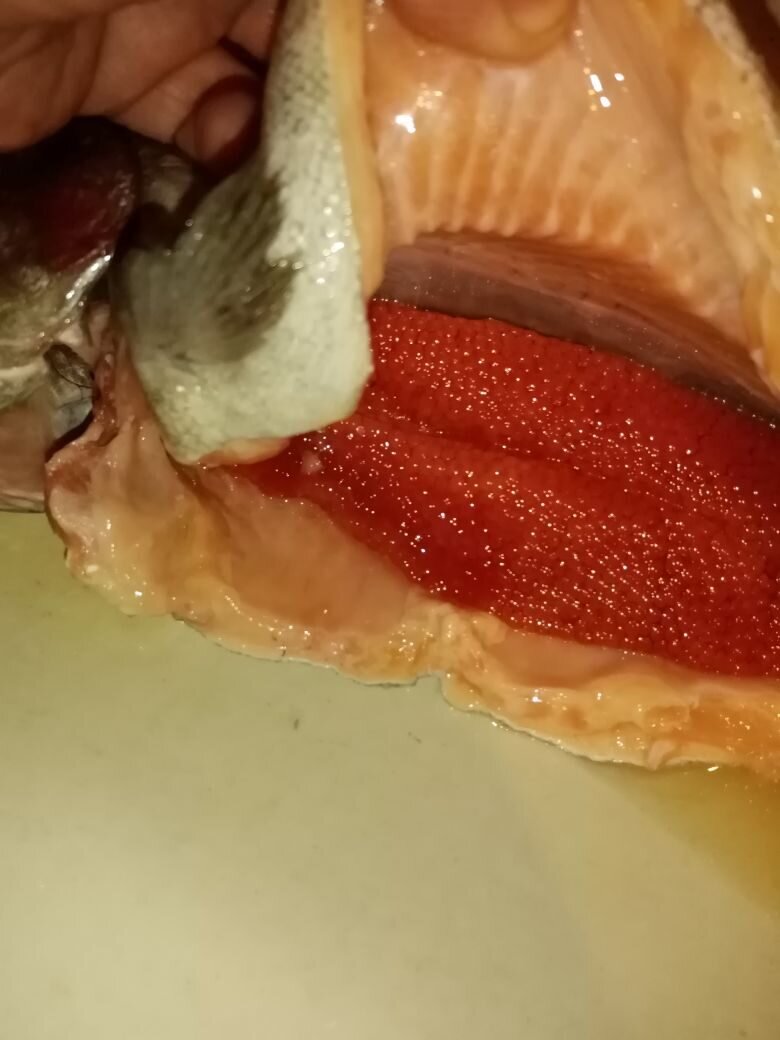 Ура -приступаем к засолке.