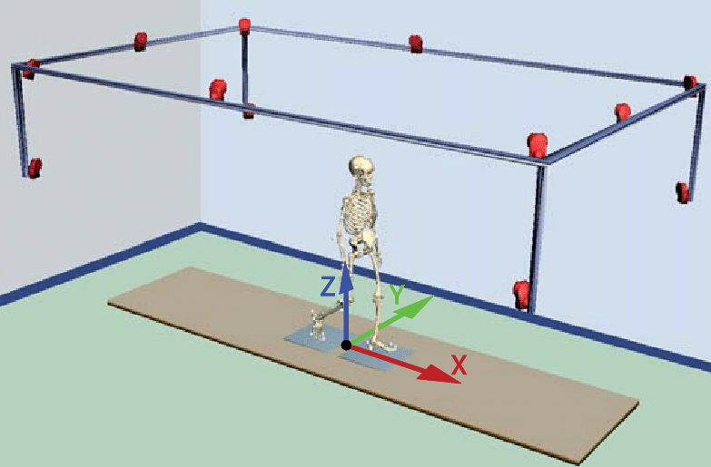 Источник изображения: https://www.researchgate.net/publication/282990574_A_Computational_Benchmark_for_2D_Gait_Analysis_Problems