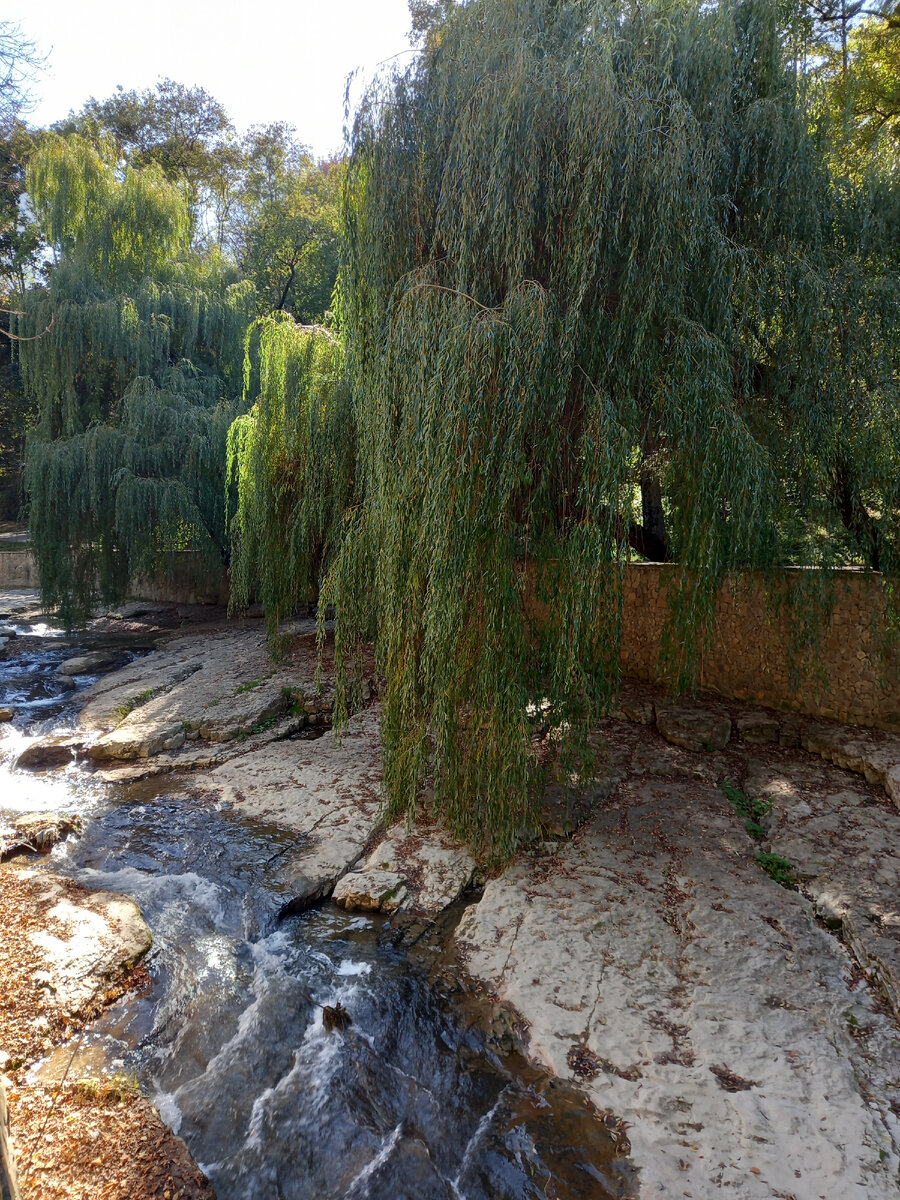 Фотографий много - красиво, и почему река называется Ольховкой мне не ясно. Назвали бы Ивочкой - логично).
