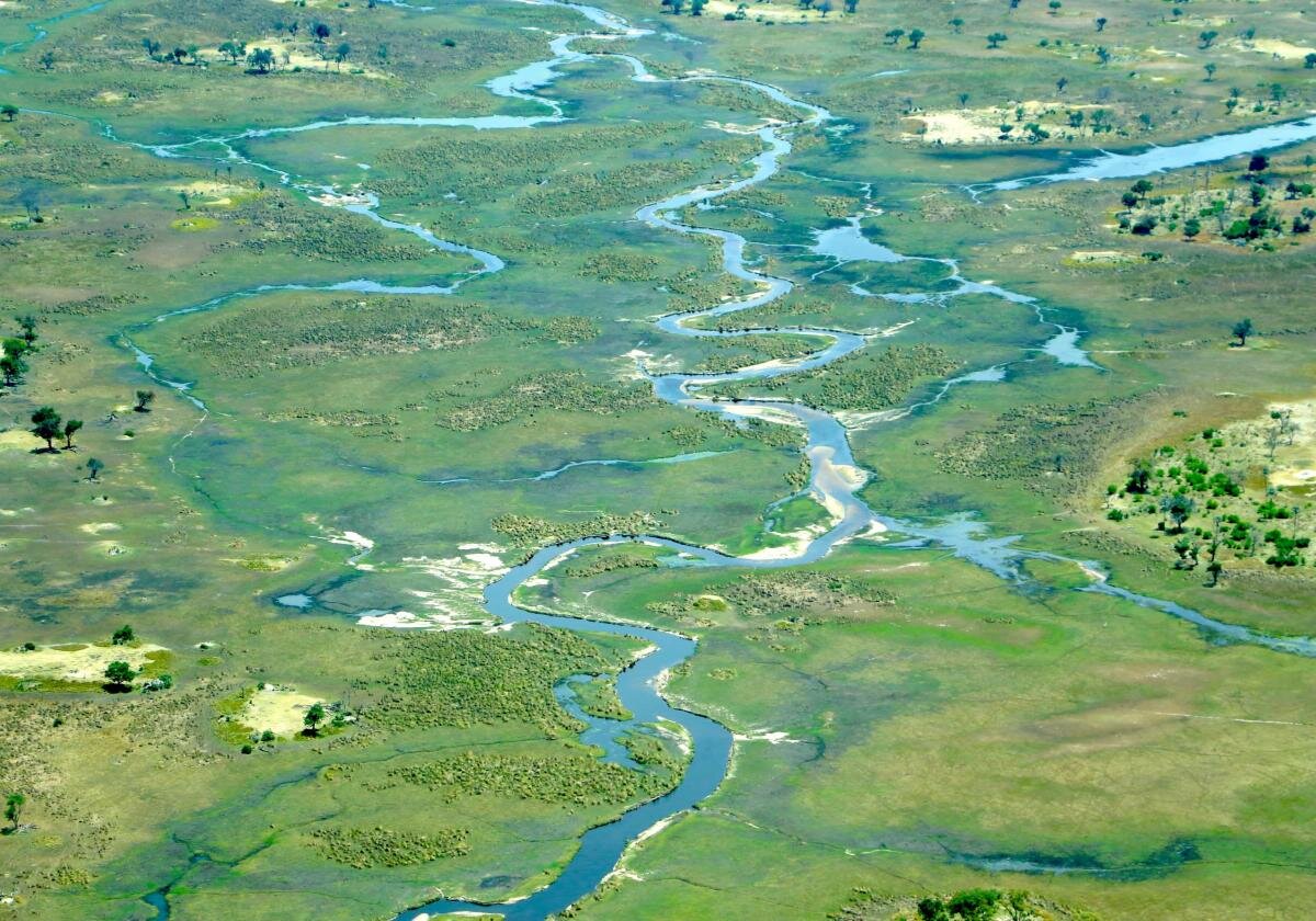 фото взято с сайта https://www.botswanatourism.co.bw/